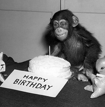 Even the monkey is happy about the Crayon Physics Deluxe birthday sale